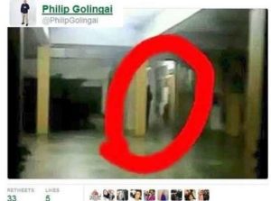 Só este ano