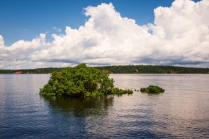 Missão Amazônia