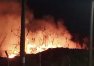 Defesa Civil 