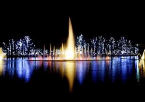 parques
