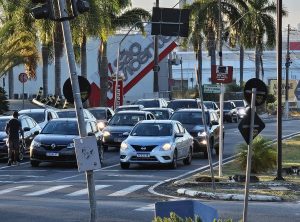 Huskies de rua chamam a atenção em Nova Odessa