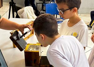 Apae de Santa Bárbara tem vivência educativa sobre abelhas