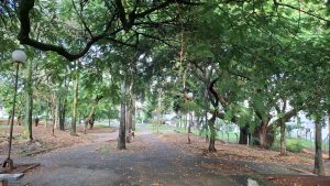 Praça Caetano Cecchino