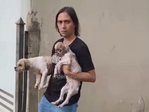 Moradora de SBO sofre condenação criminal e multa por maus-tratos a cães