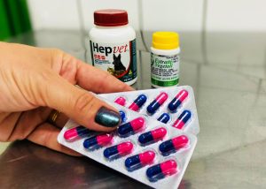 Santa Bárbara disponibiliza medicamentos para tratamento da esporotricose animal