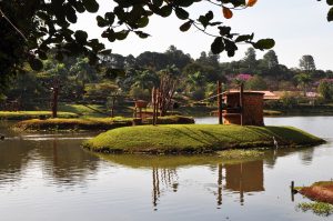 Parque Ecológico Americana