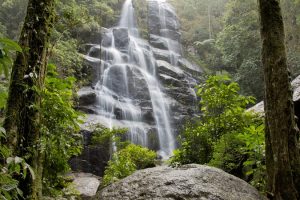 Pais - entrada gratuita em 4 parques naturais brasileiros durante todo o mês de agosto