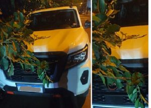 GM recupera Frontier 'tímida' em Santa Bárbara