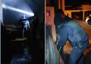 Comércio com 4 cães dentro pega fogo em Santa Bárbara