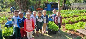 Escola Municipal de Sumaré cria horta comunitária com os alunos