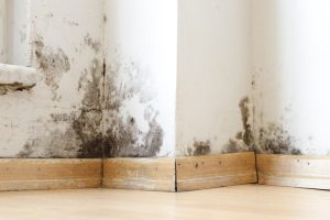 Aproveite o tempo de seca para investir na impermeabilização, prevenindo mofo 