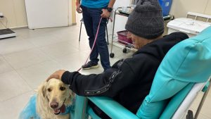 Terapia com cães e música confortam pacientes oncológicos da Unacon