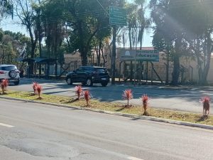 Nova Odessa inicia ação de paisagismo em canteiros públicos