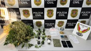 Polícia descobre plantação de maconha e tráfico em chácara de Sumaré