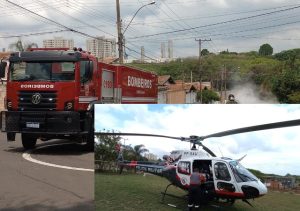 Ataque de abelhas mobiliza até helicóptero em Santa Bárbara