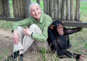 Jane Goodall 