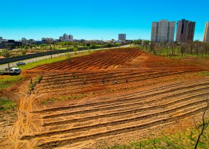 Santa Bárbara faz restauração ambiental em áreas atingidas por queimadas