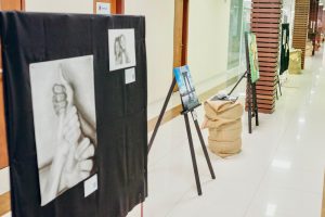 Câmara recebe exposição “Sobre o Papel da Pele” da artista americanense Fanny Deltreggia