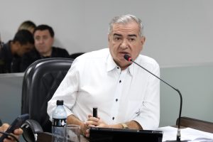 Marcos Caetano pede poda técnica em ruas do Parque Gramado