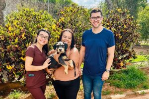 Cinco cães adultos encontram novo lar em Sumaré: adoção responsável