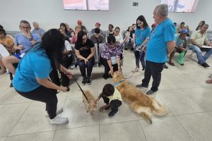 Cães terapeutas - afeto e bem-estar no Núcleo de Especialidades de Americana
