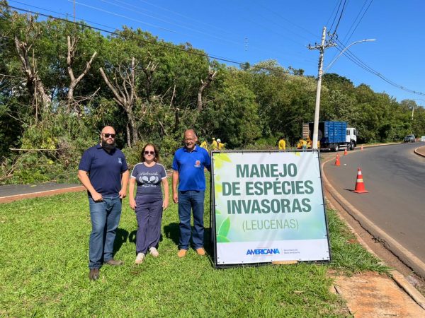 Prefeitura conclui etapa de manejo e controle de leucenas na Av. Bandeirantes