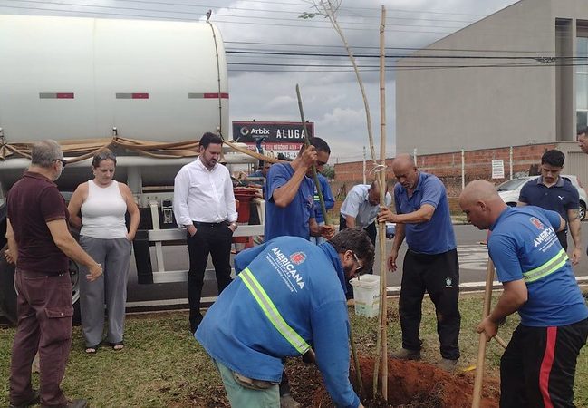 Prefeitura realiza plantio de jacarandás no Jardim Ipiranga