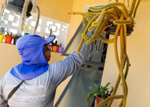 Prefeitura de SBO intensifica visitas e nebulizações no combate ao Aedes aegypti