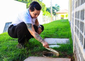 Mais da metade dos focos do Aedes aegypti está em casas de SBO