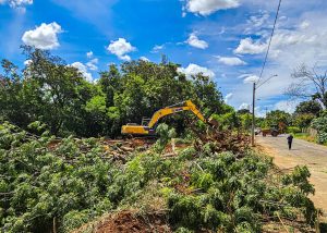 Santa Bárbara: começa implantação de nova etapa no Parque das Paineiras