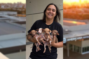 Equipe Cadeia Para Maus Tratos faz evento de adoção no Americana Shopping