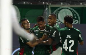 Palmeiras na maior série