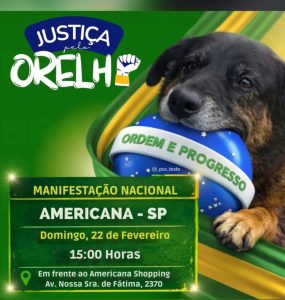 Justiça por Orelha