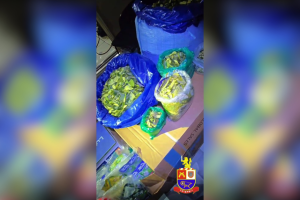 Motoboy entrega droga e PM prende dupla por tráfico em Nova Odessa