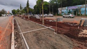 Empresa é multada por cortar árvores em obra na Avenida Rebouças, em Sumaré