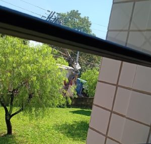 Motorista desvia de cachorro, derruba poste e suspende aulas na ETEC Dagnoni em Santa Bárbara