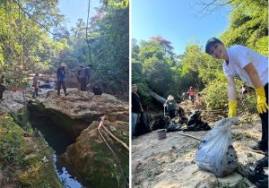 Amigos pela Natureza