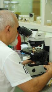 Hortolândia tem 87 casos de Dengue e zerada em Zika e Chikungunya