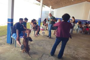 Mutirão de castração realiza cerca de 200 procedimentos em Hortolândia