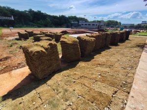 Hortolândia reforça plantio de nova grama no Campo da Mina