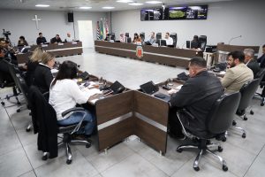 Sugestões do vereador tinham como objetivo garantir no mínimo 10% ao parades