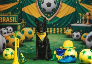 Sócrates