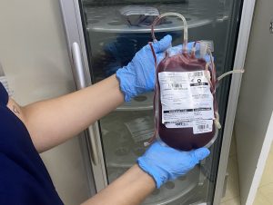 Banco de Sangue do HM de Americana faz ação especial nesta sexta (12)