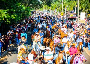 Festival Raízes consolida sucesso de público e movimenta mais de R$ 450 mil
