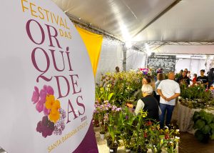 Praça Central de Santa Bárbara recebe Festival das Orquídeas no fim de semana