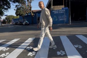 Hortolândia implanta pintura de patinhas em faixas de pedestres