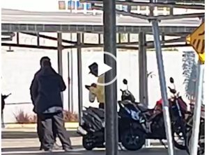 Motorista