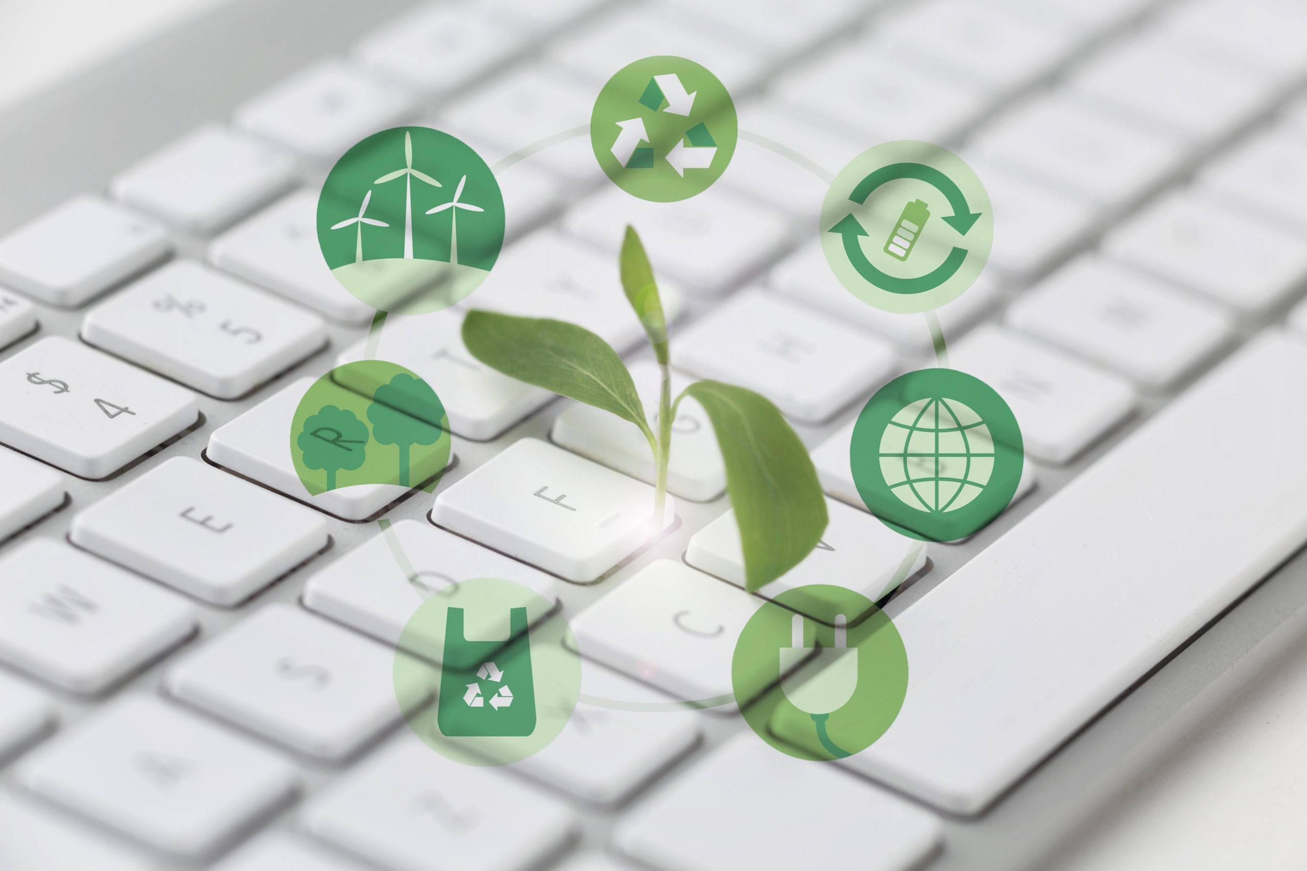Startup sediada na Unicamp oferece curso grátis de ESG