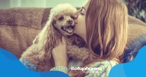 Inverno exige atenção redobrada à saúde dos cães