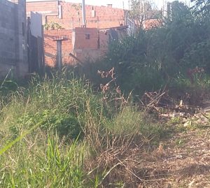 Vila Soma